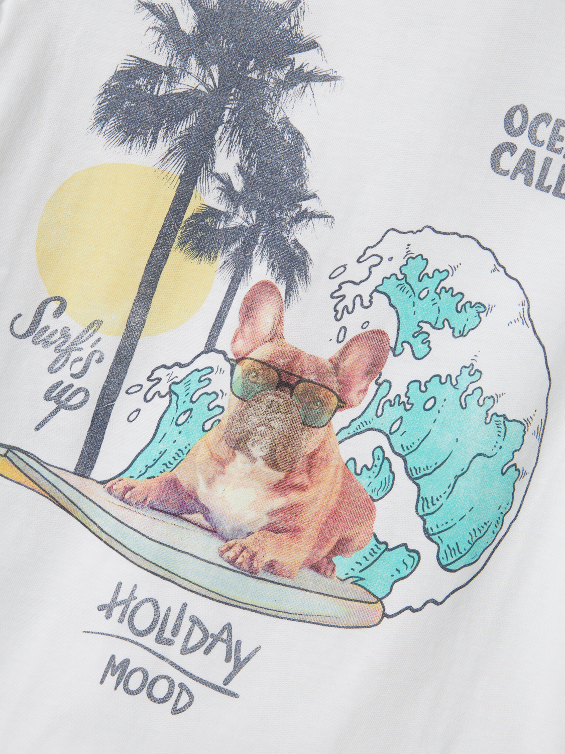 model_shot-front_full